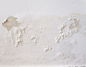 Imagen para la categoría Humedades