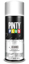 Imagen de SPRAY EVOLUTION BARNIZ BRILLANTE