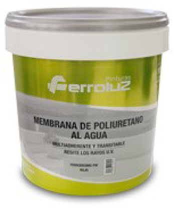 Imagen de FERRODESMO PW 750ml