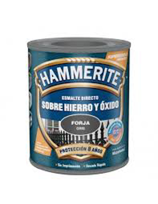 Imagen de HAMMERITE ESMALTE EFECTO FORJA 5L